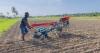 New research to introduce on-farm labour innovations kicks off in Timor-Leste