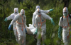 Congo government 'on alert' over mystery flu-like disease that killed dozens
