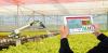PM Shehbaz calls for effective use of AI to boost agri production