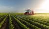 Tanzania unleashes agriculture drive to feed Africa