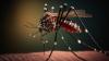 Dominican Republic recognized by PAHO for leadership in Dengue management