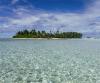 After decades of plantation agriculture, coconut palms dominate over half of Pacific atoll forests