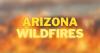 Arizona sees fewest wildfire acres burned in 25 years
