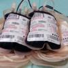 Hello Kitty Blood Drive Campaign Comes to Northern Colorado