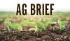 Partners in Ag Innovation Conference is Feb. 26