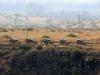 Israeli official says withdrawal after Lebanon takes 'actual steps'