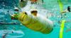 Are we losing the battle against plastic pollution?
