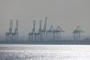 Marsa Maroc to invest in Djibouti's Damerjog petroleum terminal: decree