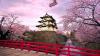 Japan: Munich Re Specialty launches parametric earthquake insurance for corporate clients