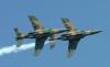 US, Nigeria forces kill ‘over 20 ISIS fighters’ in fresh Borno air strike