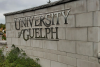 University of Guelph leading national project to save endangered butterflies