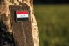 Iraq arrests senior Trade Ministry official Hashem Al-Sudani