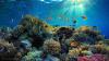 Underwater volcano off Oregon Coast could erupt by 2025, scientists warn