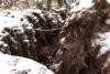 Evacuation of residents in Sarajevo municipality due to landslide risk