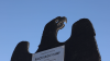 Falklands 1982 RAF Regiment “Black Eagle” Monument Rededication
