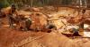 Investors wary as violence shadows Plateau’s mining ambitions
