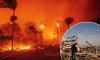 California wildfires will cost niche British insurer £132m as global industry calculates toll of environmental chaos