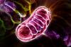 Scientists Just Discovered the Hidden Trick That Keeps Your Cells Alive