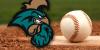 Coastal baseball falls to Louisiana, drops to second in Sun Belt