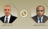 Egyptian FM congratulates newly-appointed Chadian counterpart