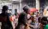 Unknown Illness from Bat Consumption Claims 50 Lives in Northwestern Congo