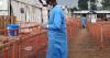 Mystery illness kills 50 in DR Congo as WHO experts admit it's 'really worrying'