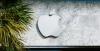 Brazil antitrust regulator recommends ruling against Apple in App Store case