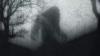 Hiker Reports Encounter with Argentina's Bigfoot
