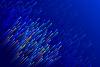 Nokia and Canal+ Telecom expand and automate fibre network to bring broadband access to Caribbean