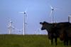 Tailwinds drive up renewable energy sector
