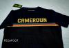 Cameroon Unveils New Jerseys with FOURTEEN: A Fresh Look for the Indomitable Lions