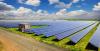 Belize Expands Solar Energy Efforts with IFC Support