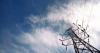Storms knock out power for over 100,000 MI utility customers