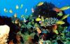 DOT-7, partners push for responsible marine wildlife tourism