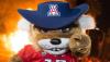 Arizona Wildcats Are a Dominating Force in Men’s Basketball