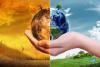 CLIMATE CORNER: What do Halton Hills candidates say about climate change?