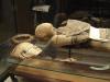 2,300-Year-Old Egyptian Mummies Reveal New Details Through Advanced CT Scans