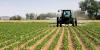 Government to engage over 100,000 post-NSS personnel in sustainable agriculture
