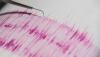 Tsunami warning lifted after 7.1 magnitude earthquake hits near Tonga
