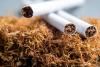 Illicit cigarettes make up 60% of South Africa’s market, study finds