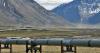 Is the Alaska gasline a pipe dream? Skeptics flag concerns