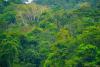 DRC Launches Next Phase of Ambitious Biodiversity Protection Plan