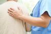 Health insurance could cost you €177 more next year