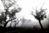 Severe Weather in Egypt Sparks Emergency, Postpones Exams
