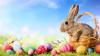 Where to celebrate Easter, spring events in Central Arkansas