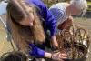 Open Studios North Fife set to celebrate its 20th anniversary this weekend