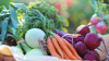 IDDBA trade show brings thousands of food industry leaders to New Orleans
