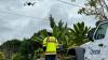 Hawaiian Electric to use drones to perform aerial inspections of power lines