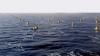 Portugal to Lead in Wave Energy