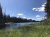 CNC Research Forest Society Legacy Fund supports environmental restoration in Vanderhoof